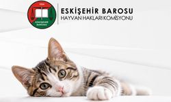 Eskişehir Barosu, Yaban Hayvanlarının Yaşam Alanlarına Dikkat Çekti