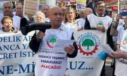 Ali Paşa Şanlı: "Seyyanen zam tüm emeklilerin hakkıdır"