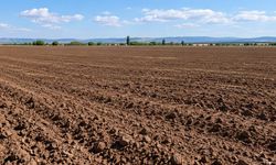 Eskişehir’de tarım arazisinde mühimmat paniği