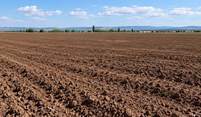 Eskişehir’de tarım arazisinde mühimmat paniği