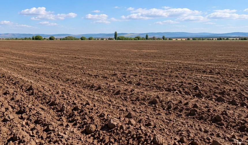 Eskişehir’de tarım arazisinde mühimmat paniği
